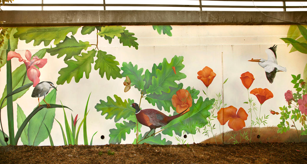 Mural “Native Birds and Plants of Northern California”