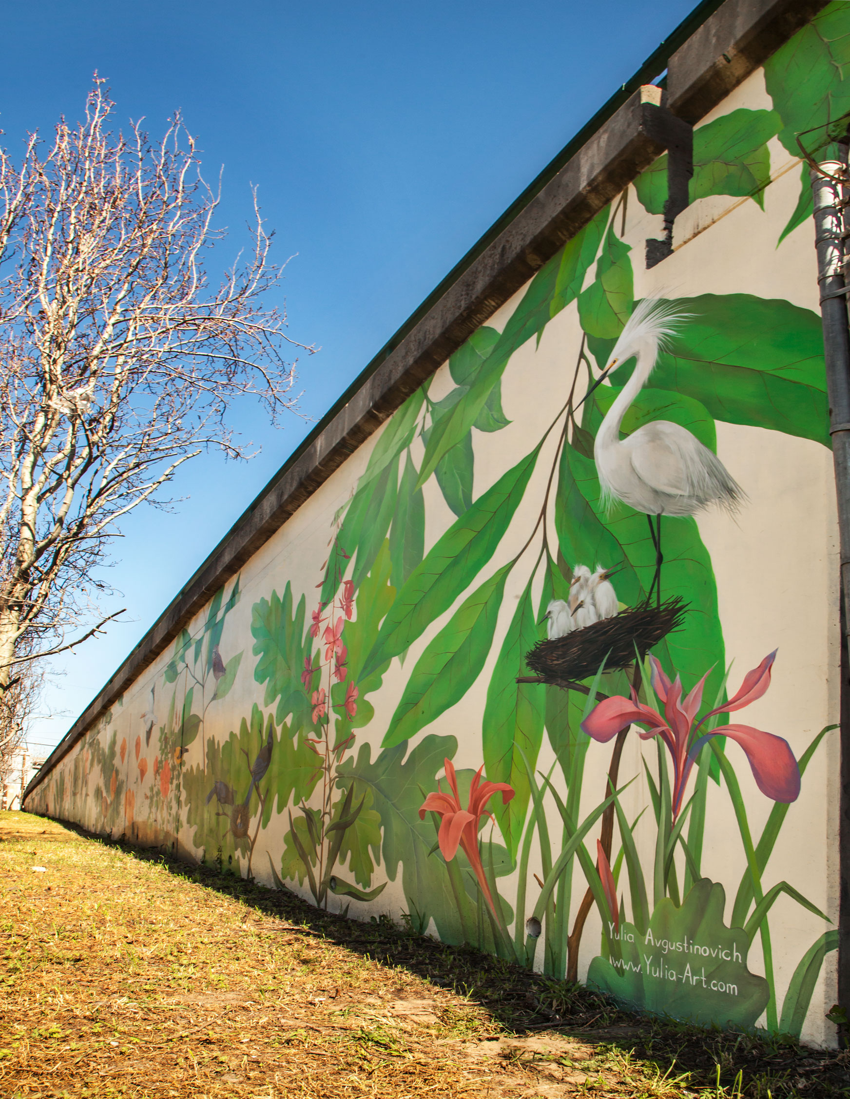Yulia_Avgustinovich_Muralist_Bay_Area_hand_painted_wall_murals_Outdoor wall_art