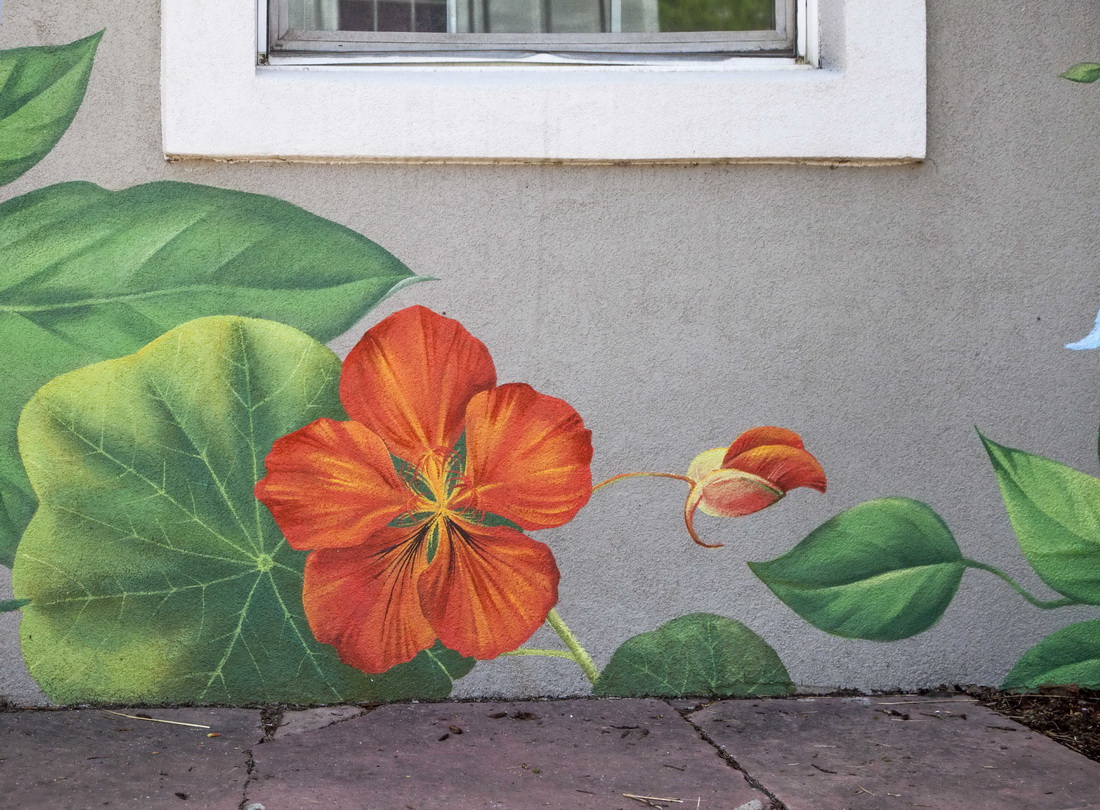 Flower_Wall_Art_Paradise_Wall_Mural_RINO_Exterior_wall_art_Yulia_Avgustinovich_Denver_Muralist