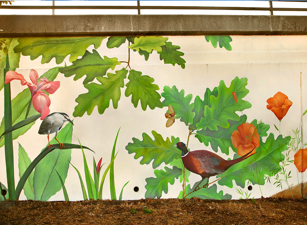 Mural “Native Birds and Plants of Northern California”