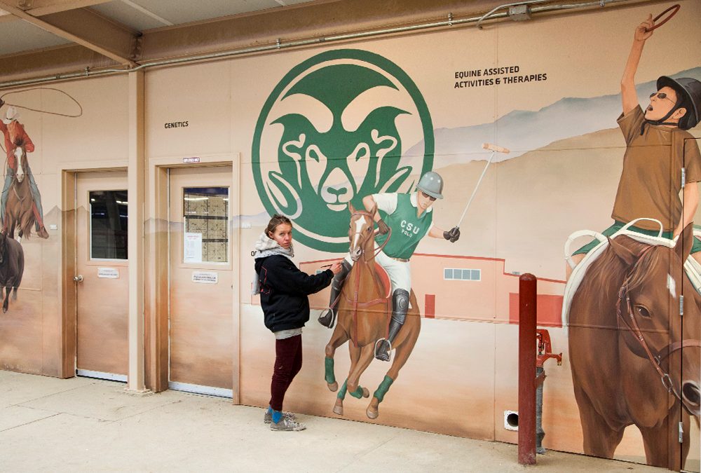 Equine Art Creation for Colorado State University
