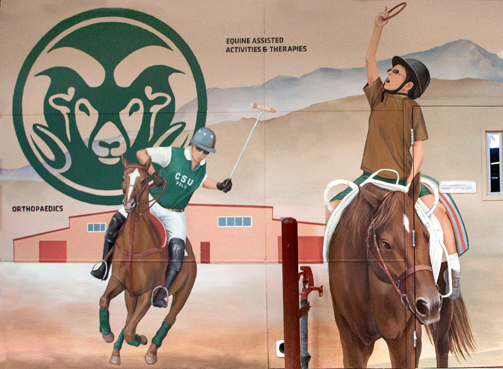 Equine Sciences Mural for Colorado State University