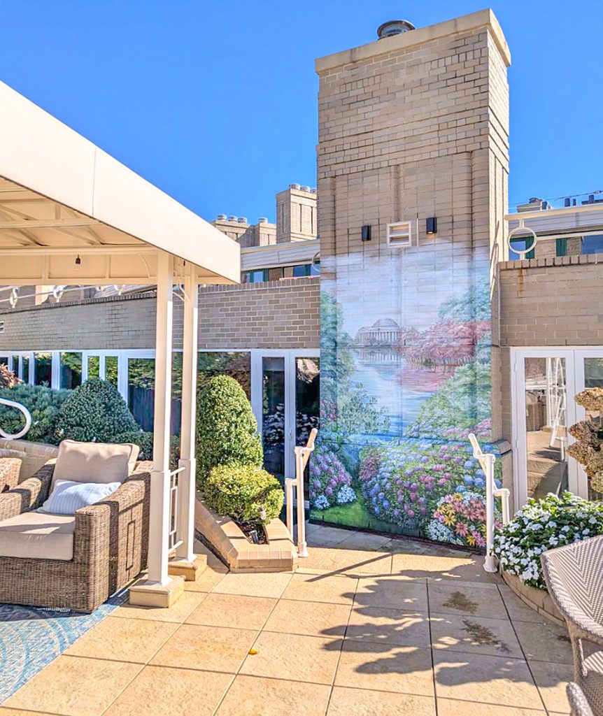 rooftop-balcony-mural-washington-dc-yulia-avgustinovich Rooftop balcony mural in Washington DC featuring Jefferson Building landscape blending with terrace garden