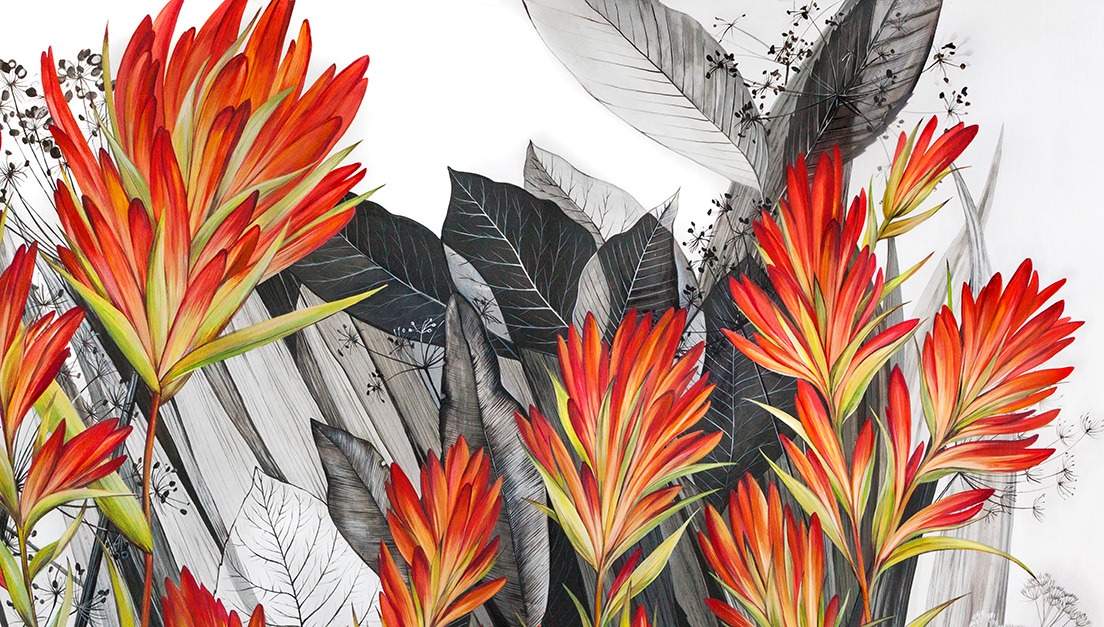 The detail of Indian Paintbrush flower, nature mural for senior living facility