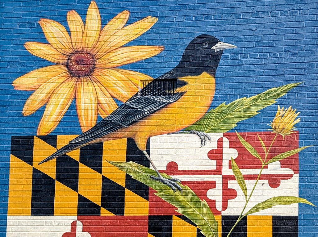 Detail of Maryland state symbols mural on the Landover Hills Town Hall tower shiwing Baltimore oriole: Maryland state bird Black eyed Susan: Maryland Satte Flower and a flag of Maryland.