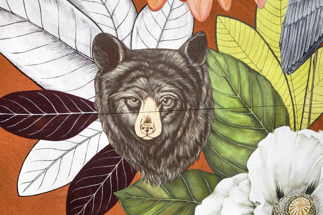 Detail of Idaho state symbols in symbolic mural in Boise with black bear 