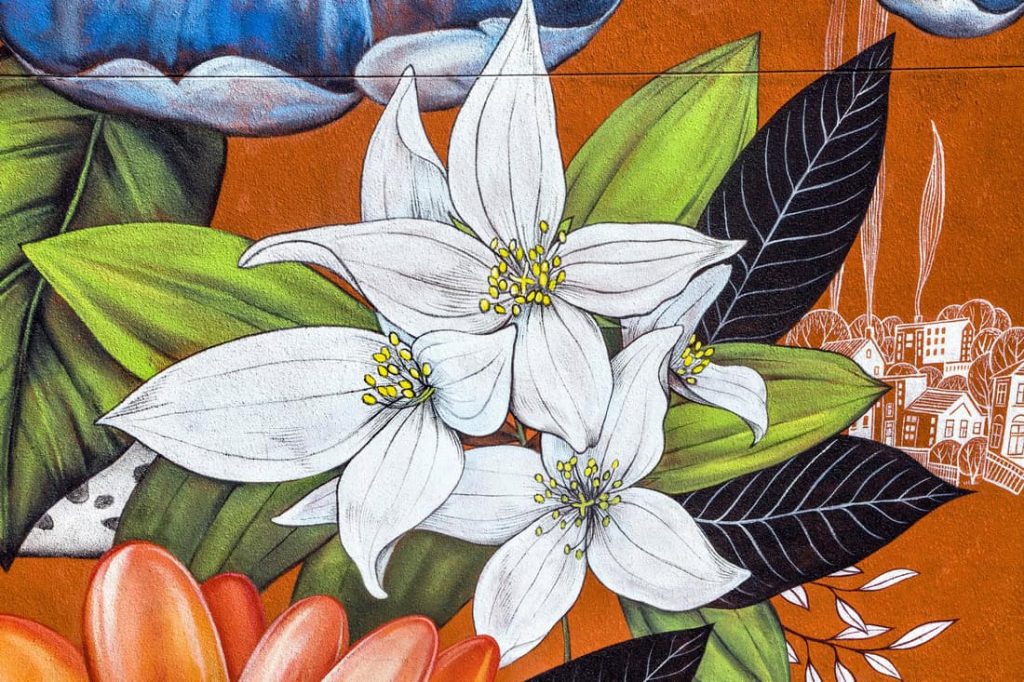 Syringa flowers on Idaho state symbols in symbolic mural in Boise